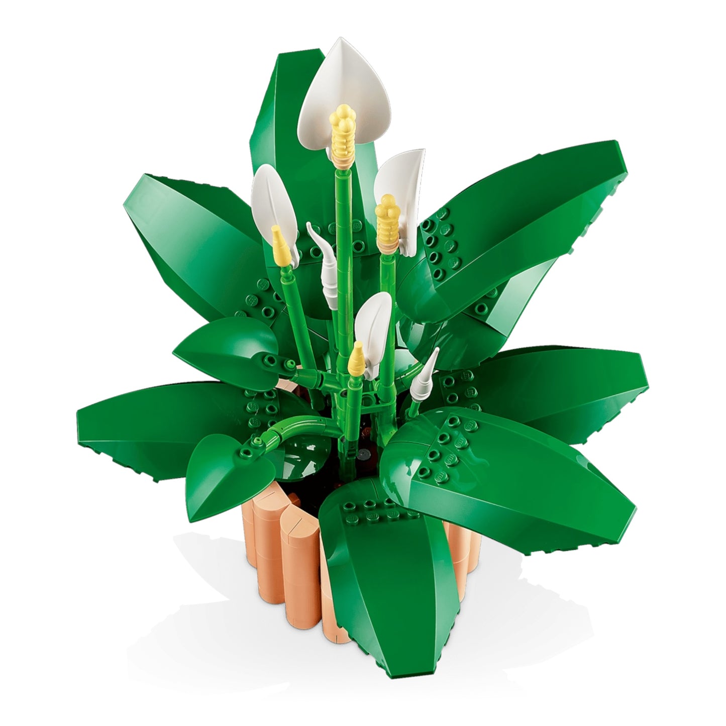 Botanicals: Peace Lily 11504