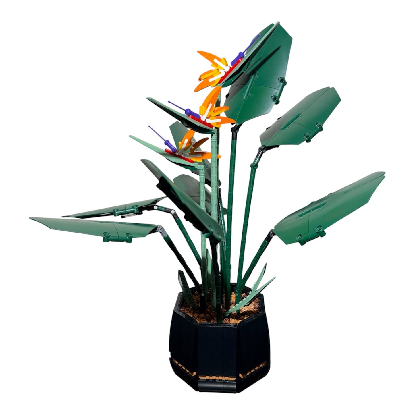 Botanicals: Bird of Paradise 10289 (Pre-Owned)