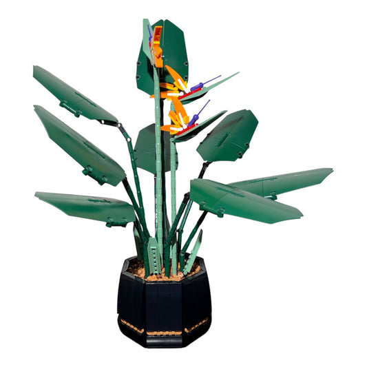 Botanicals: Bird of Paradise 10289 (Pre-Owned)