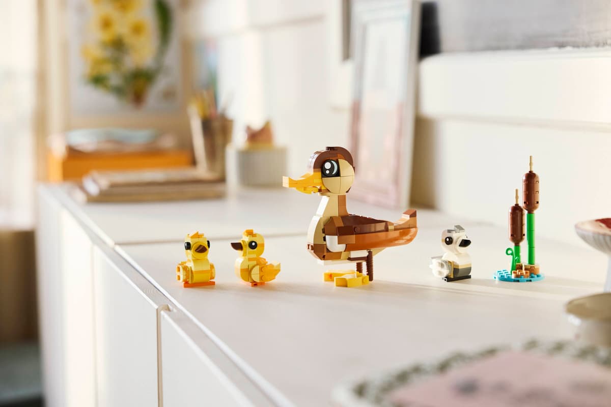 Creator: Duck Family 40885
