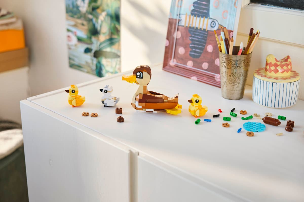 Creator: Duck Family 40885