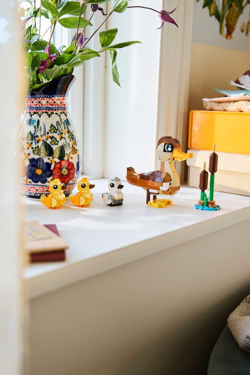 Creator: Duck Family 40885
