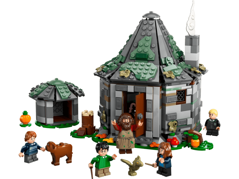 Harry Potter:  Hagrid's Hut: An Unexpected Visit 76428