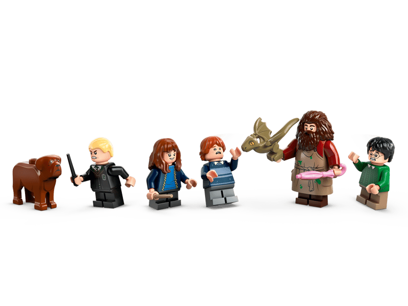 Harry Potter:  Hagrid's Hut: An Unexpected Visit 76428