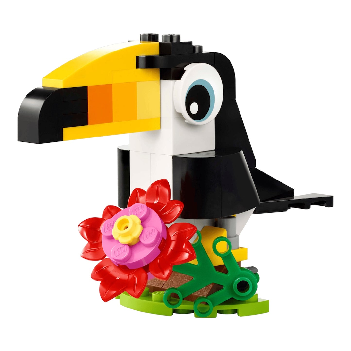 Creator: Tropical Toucan 30688