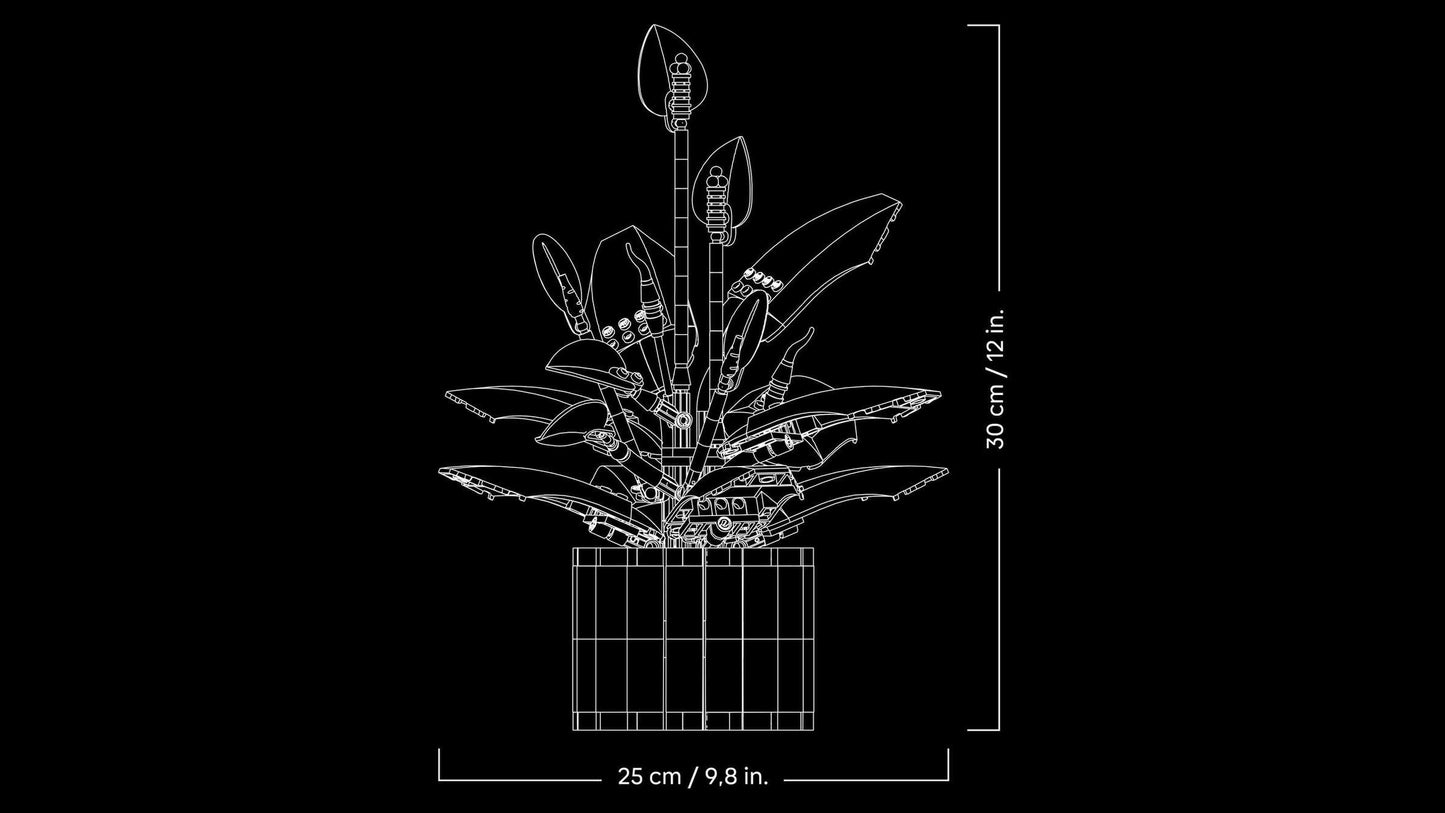 Botanicals:  Peace Lily 11504