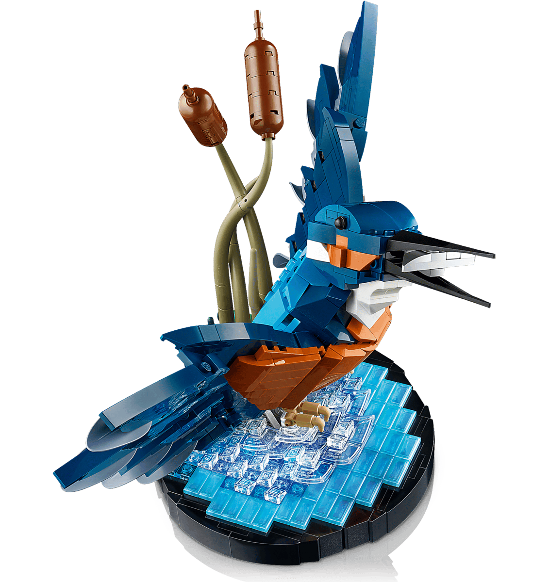 Icons: Kingfisher Bird 10331