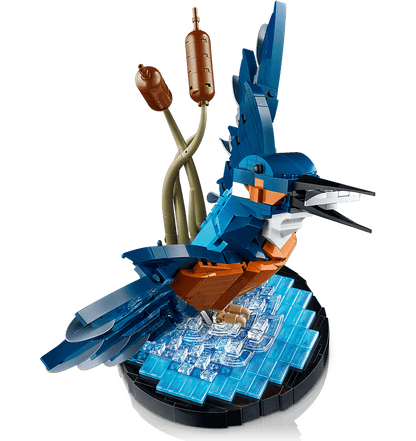 Icons: Kingfisher Bird 10331