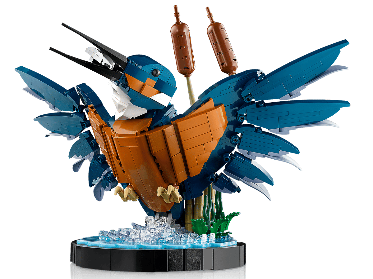 Icons: Kingfisher Bird 10331