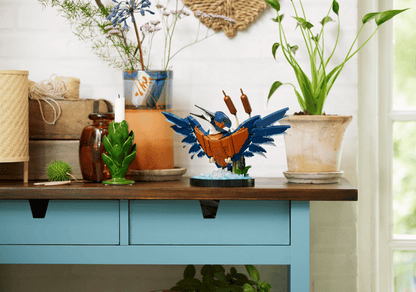 Icons: Kingfisher Bird 10331