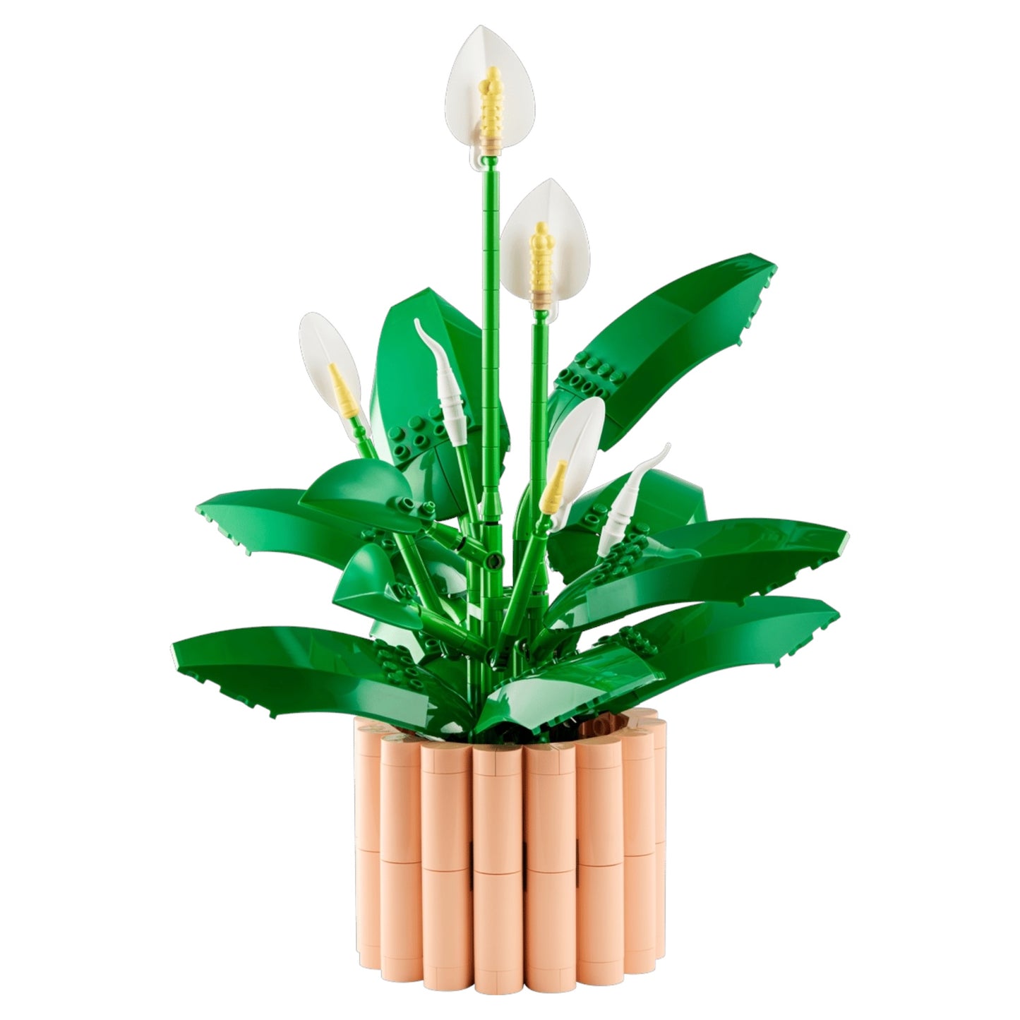 Botanicals:  Peace Lily 11504