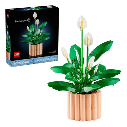 Botanicals:  Peace Lily 11504