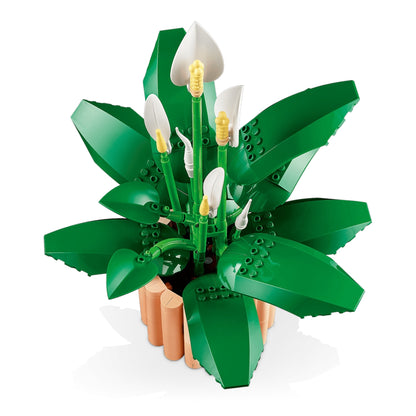 Botanicals:  Peace Lily 11504