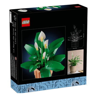 Botanicals:  Peace Lily 11504