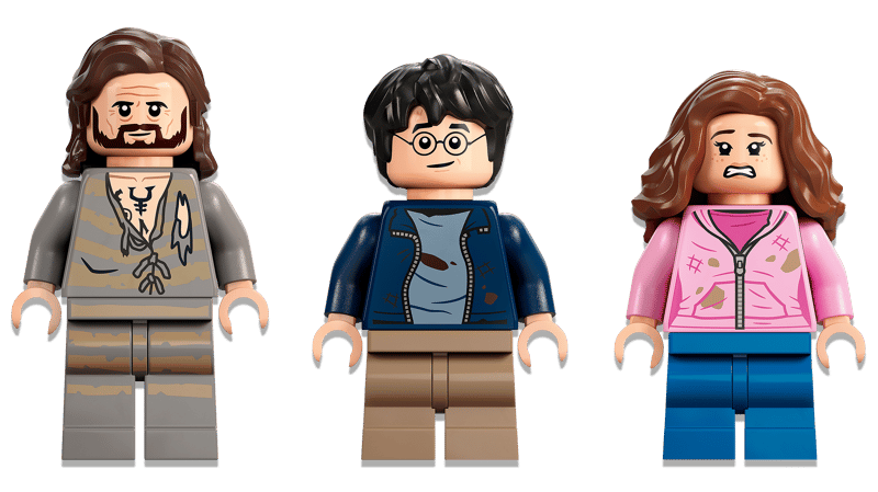 Harry Potter:  Hogwarts™ Courtyard: Sirius’s Rescue 76401