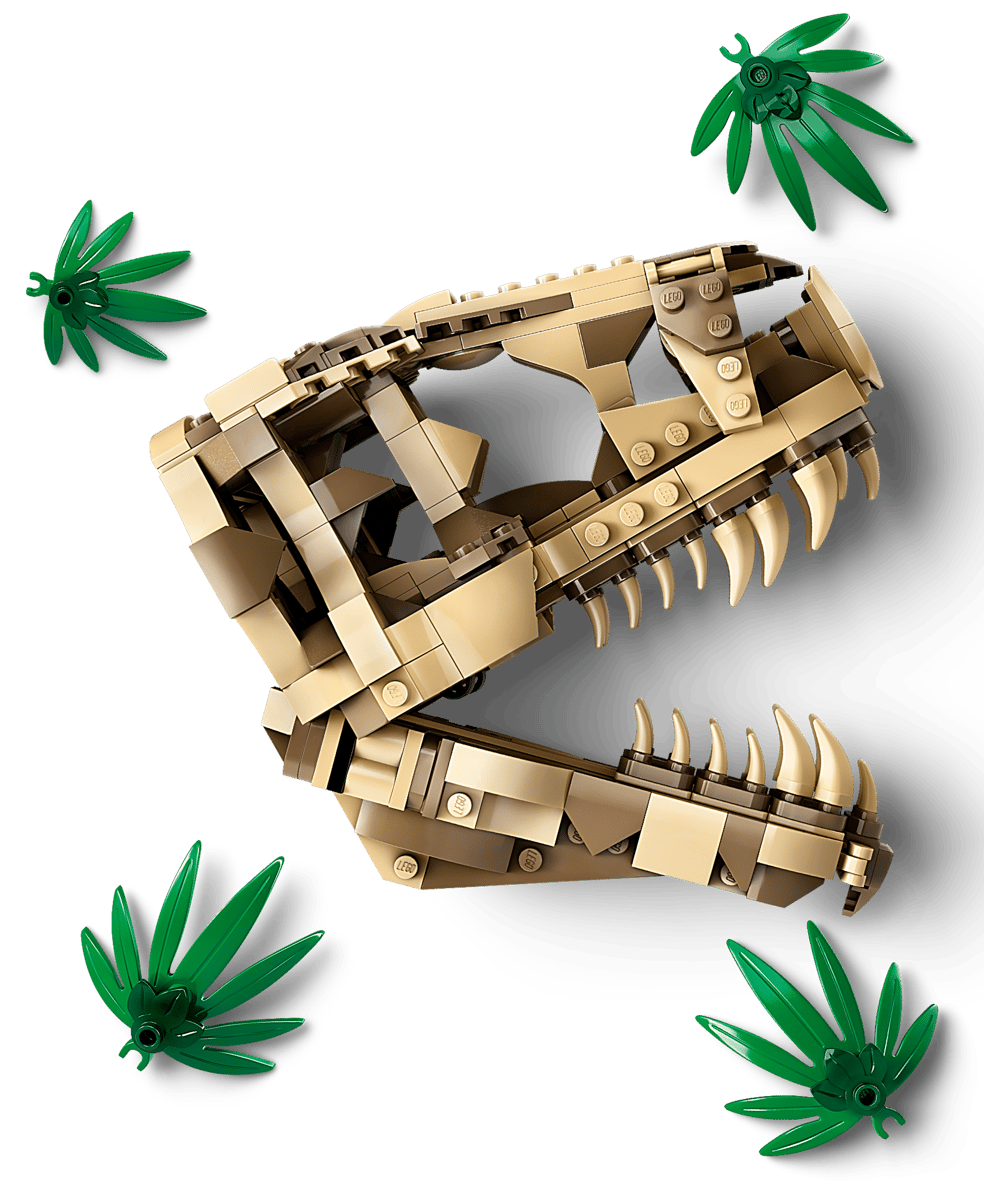 Jurassic World: Dinosaur Fossils: T. rex Skull 76964
