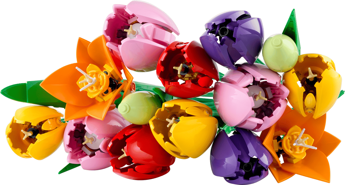 Botanicals:  Tulip Bouquet 11501