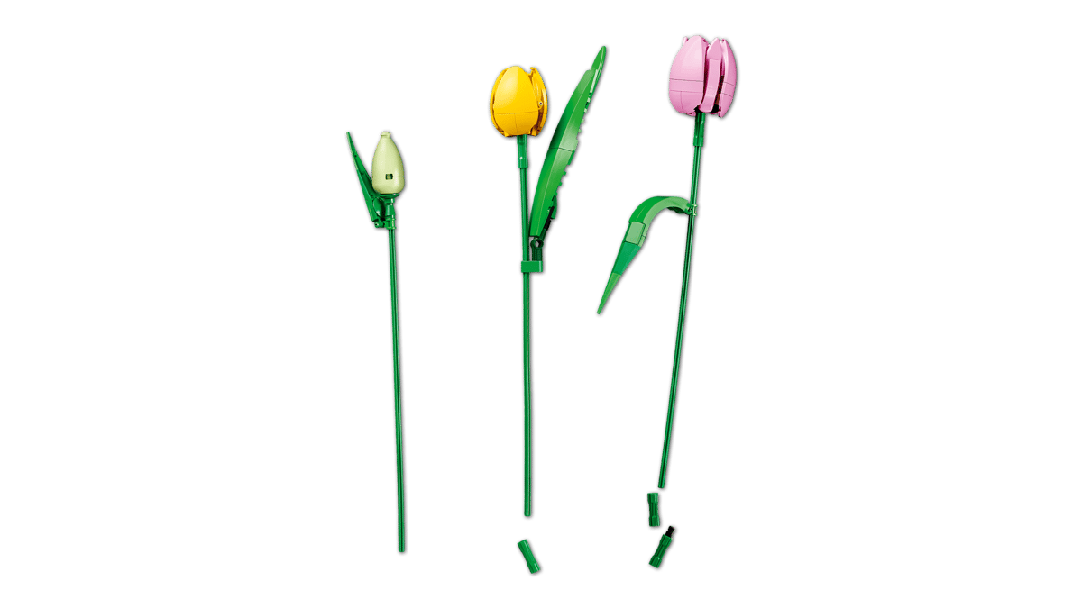 Botanicals:  Tulip Bouquet 11501