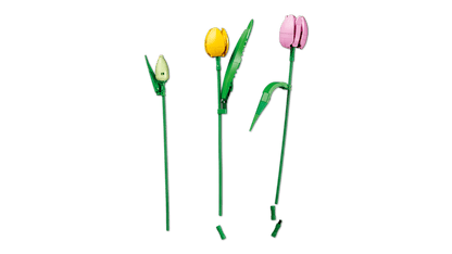 Botanicals:  Tulip Bouquet 11501
